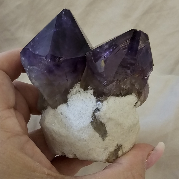 Amethyst 🐢Turtle! 365 grams, 9 x 9 cm (approx.) from head to end of Amethyst🐢 - Picture 8 of 17